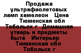 Продажа ультрафиолетовых ламп хамелеон › Цена ­ 600 - Тюменская обл., Тобольск г. Домашняя утварь и предметы быта » Интерьер   . Тюменская обл.,Тобольск г.